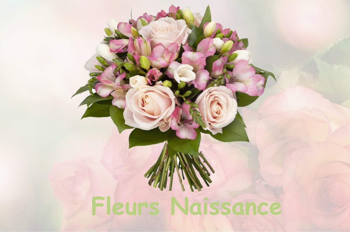 fleurs naissance BRANS