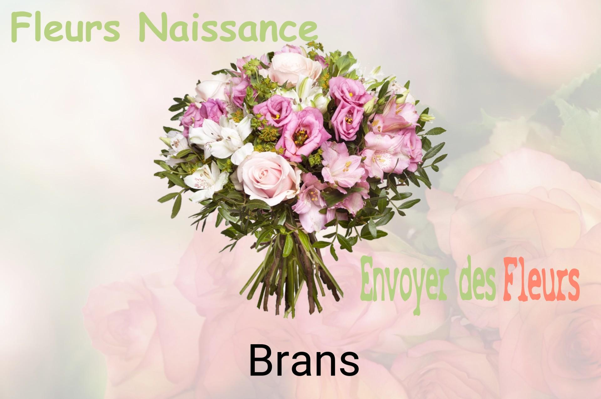 Bouquet de fleurs de naissance livré à Brans