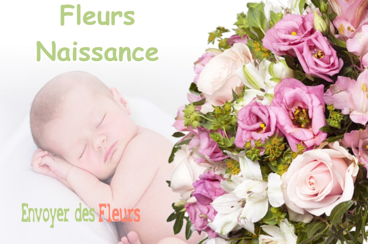 lIVRAISON FLEURS NAISSANCE à BRANS